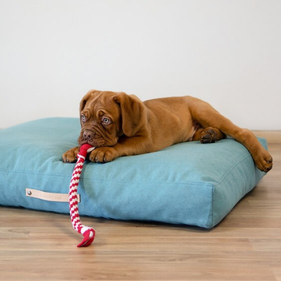 Copenhagen cuscino per cani Labbvenn - Agof Store