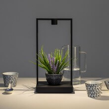 Artemide Curiosity table lamp - Agof Store