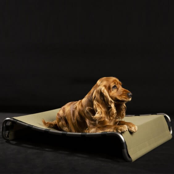 Kanak Telo lettino per cani e gatti Brando - Agof Store