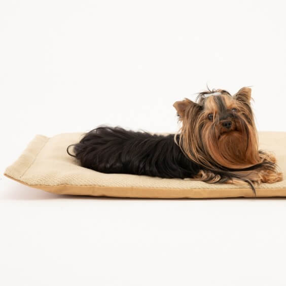 Duepuntootto Richard cuscino per cani - Agof Store