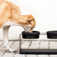 DON ARTURO Teccà 2 | Pet Bowls Holder | Agof Store