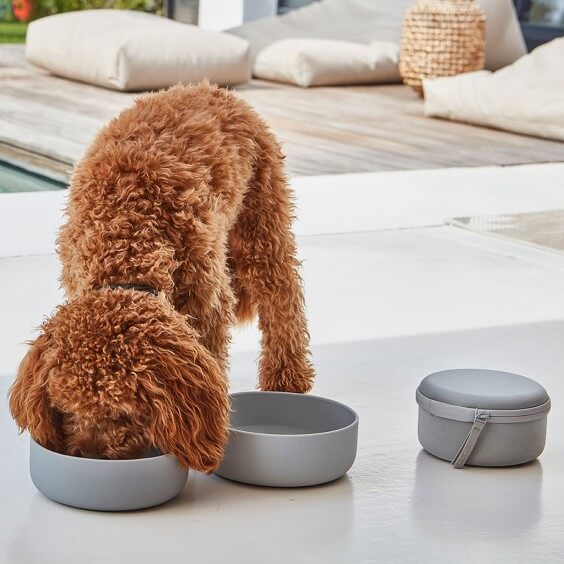 MiaCara Bento dog travel bowl set - Agof Store