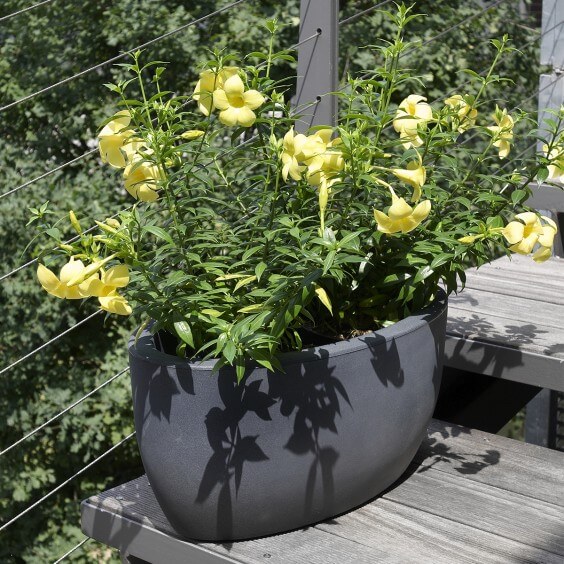 NICOLI Athena | Blumentopf | Agof Store
