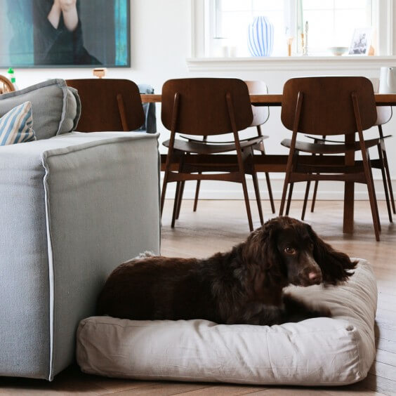 Tadazhi Tobine cuscino per cani - Agof Store