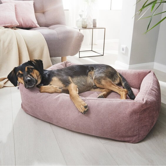 Laboni Tudor Dog Bed - Agof Store