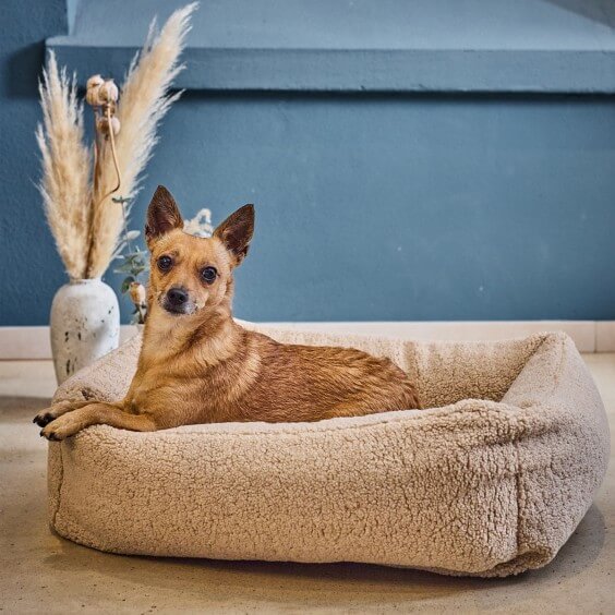 Teddy cuccia per cani Laboni - Agof Store