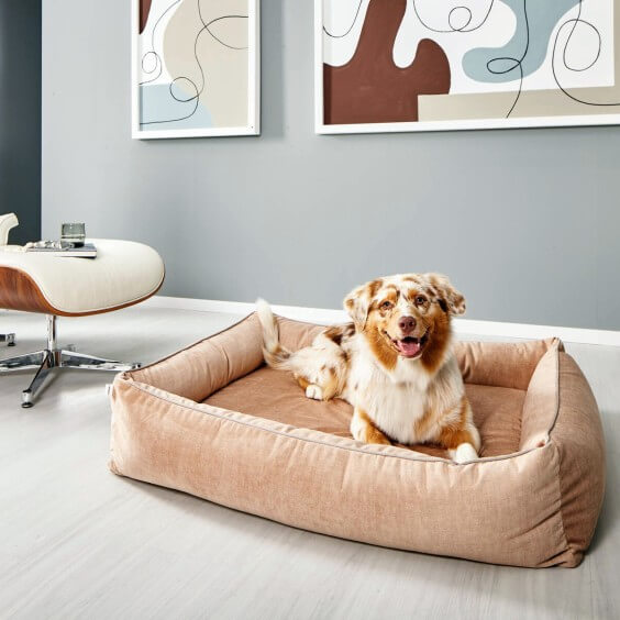 Glam cuccia per cani Laboni - Agof Store