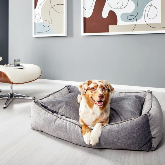 Glam cuccia per cani Laboni - Agof Store