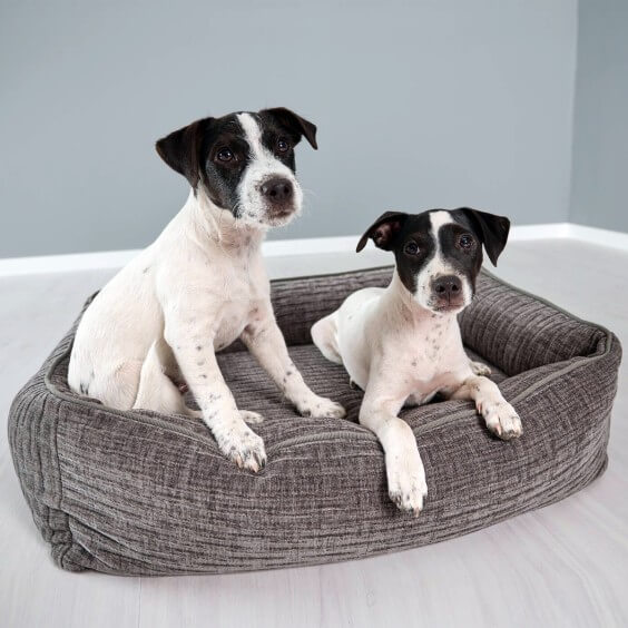 Laboni Nova Dog Bed - Agof Store