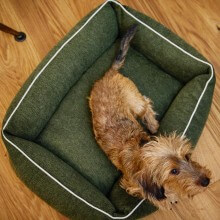 Cuccia Ortopedica Per Cani Grandi FURTIME - Letto 89x64cm Con Imbottitura Rimovibile E Base Antiscivolo - Foto 8