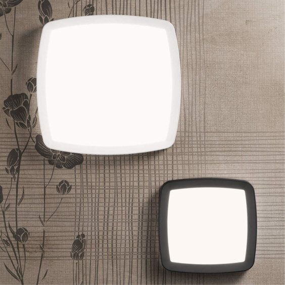 Reiki Lampada da parete soffitto Linea Light - Agof Store