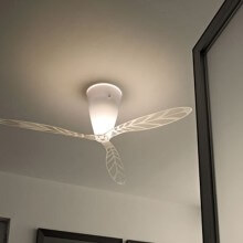 Blow Ventilatore a soffitto LucePlan - Agof Store