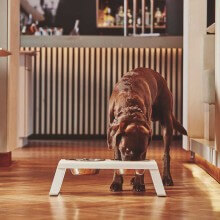 MiaCara Desco pet bowl set - Agof Store